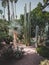 Panorama of The Majorelle Garden is a botanical garden and artist`s landscape garden in Marrakech, Morocco. Jardin