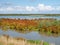 Panorama of marshland on manmade artificial island of Marker Wadden, Markermeer, Netherlands