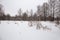 Panorama meadows with snow passes on the edge of the forest.