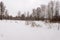 Panorama meadows with snow passes on the edge of the forest.