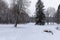 Panorama meadows with snow passes on the edge of the forest.