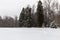 Panorama meadows with snow passes on the edge of the forest.