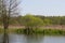 Panorama meander river with reed on northern part of Ukraine, Sumy region. Riparian vegetation Salix sp. Flooded meadow