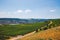 Panorama of the middle Rhine River valley with beautiful vineyards sloping down to a distant medieval village of