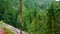 Panorama of Mount Khomyak talus slope and forests, Bukovel, Ukraine