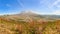 Panorama of Mount St. Helens with flowers