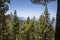 Panorama of mountains and conifer wood, Las Lagunetas, Tenerife, Canary Island, Spain