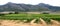 Panorama of mountains and vineyard