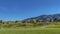 Panorama Narrow paved road on a vast grassy terrain covered with lush green grasses