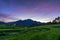 panorama of the natural beauty of asia. expansive view of green rice fields in an unspoiled forest area