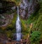 Panorama of the natural beauty of Marymere Falls Olympic National Park