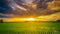 Panorama natural scenic beautiful sunset and rice field agricultural background