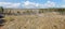 Panorama of northern peat swamp under sky with clowds