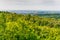 Panorama of Novi Sad from Fruska gora