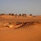 Panorama of Nubian Pyramids in Sudan