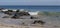 Panorama of the Ocean Splashing on the Rocks