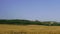 Panorama Old Windmill Village Countryside.
