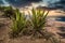 Panorama over Isla Sao Vicente on Cape Verde Islands