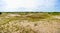 Panorama Over Letea Forest Sand Dunes