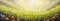 Panorama painting summer natural art background with yellow flowers daisies and blue wildflowers in grass against of dawn morning.