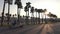 Panorama palm trees on blue sky background.