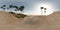 Panorama of palms in desert. made with the one 360 degree lense