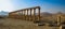 Panorama of Palmyra columns and ancient city, Syria