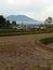 Panorama pangrango mountain Sukabumi city