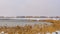 Panorama Panorama of a lake in Daybreak with snow blanketing the grass lined shore