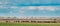 Panorama, Panoramic View Of Cattle Of Cows Grazing In Meadows Pasture. Spring Green Pasture Landscape