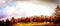 Panorama of the park.Autumn in Scotland. A banner with golden Trees in a park
