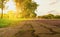 Panorama park.Morning light green lawn.