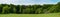 panorama of a park, trees behind a green meadow, some people in the park