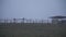 Panorama of pasture. Field and wooden fence on which horses graze