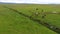 Panorama of pasture with horses in Iceland. Andreev.