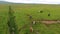 Panorama of pasture with horses in Iceland. Andreev.