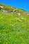 Panorama on the path to Rodella lake