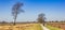 Panorama of people cycling through the heather fields of  the Drents-Friese Wold