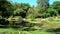 Panorama of Peradeniya Garden at Kandy, Sri Lanka