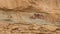 Panorama of the petroglyphs on the Temple Mountain Wash Pictograph Panel