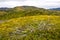 Panorama. Picturesque view of the hills of the Urals in golden autumn