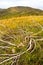 Panorama. Picturesque view of the hills of the Urals in golden autumn