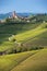 Panorama of Piedmont vineyards and Barbaresco town