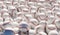 Panorama of a pile of baseballs. 3D illustration of the view of a lot of baseballs