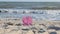 Panorama pink flip flops on yellow sandy beach