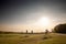 Panorama of the plains of vojvodina with green grass in titelski breg with a flock and herd of white sheeps, with short wool,