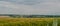 Panorama of planted fields in the Ukrainian village