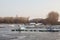 Panorama of the port of Kovin, on the Danube, with boats and ship anchored in frozen waters in winter.