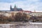 Panorama of Prague Castle with pack of cormorants and gulls on Moldau river
