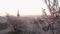 Panorama of Prague on a spring morning with blooming almond trees in the foreground